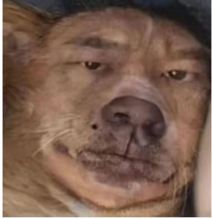 不想玩了截图