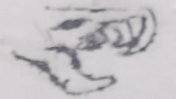 深入思考虚无之刺流