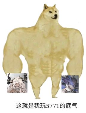 给快打赢复活赛的5771搞点新手攻略