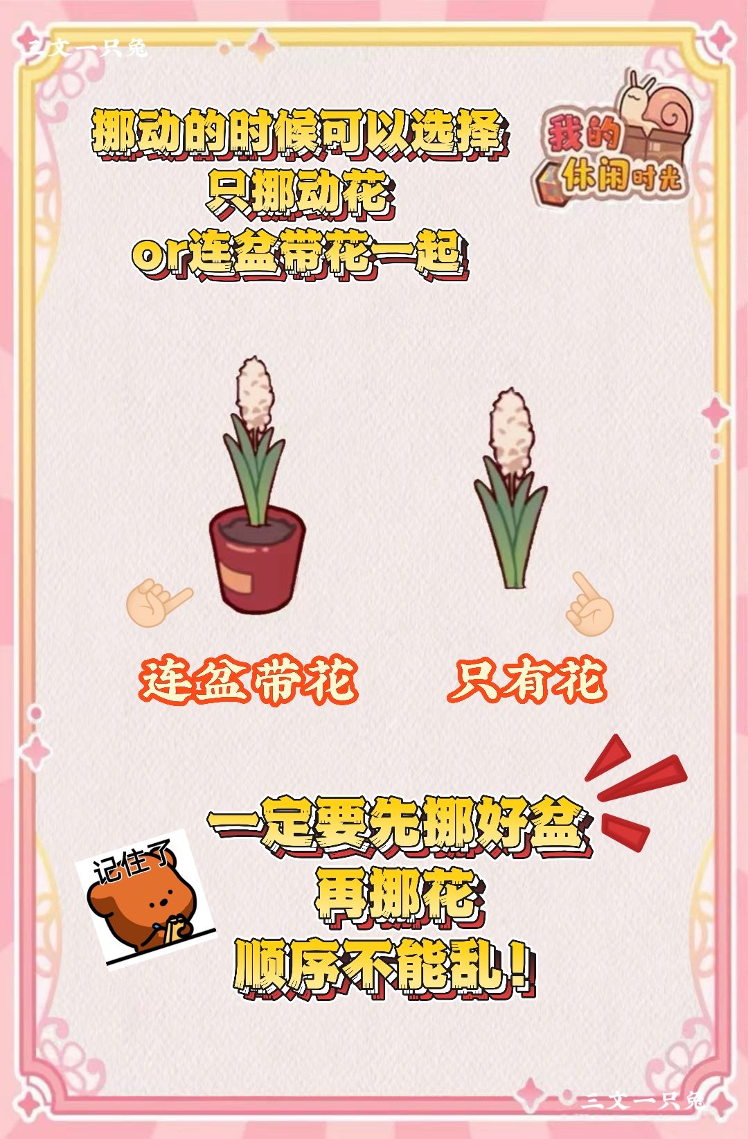 📚邵义的花架整理秘籍大公开?! 2