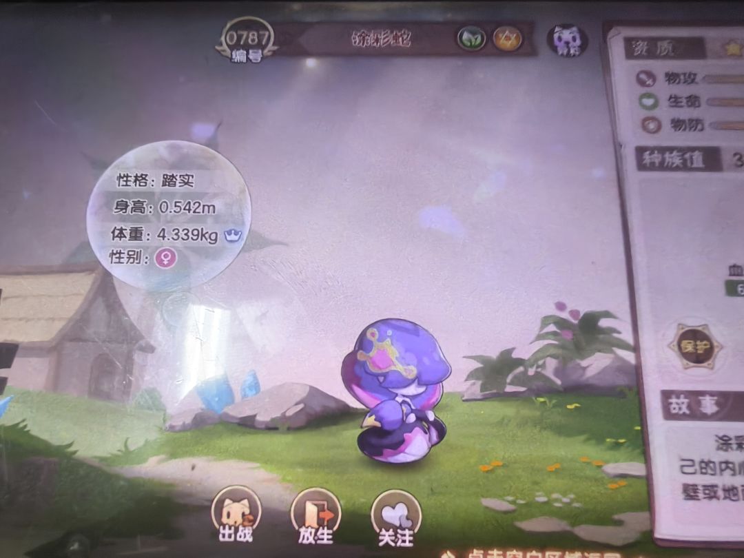运气不错 2