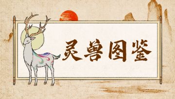 「灵兽图鉴」我与灵兽同行，探秘九重之境