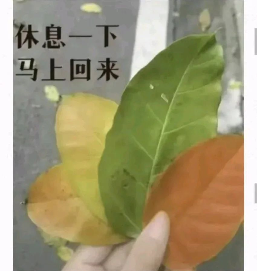✨今日份梗图分享第七十五期✨ 3