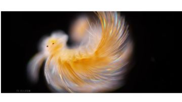 整理一下城镇相关的内容！