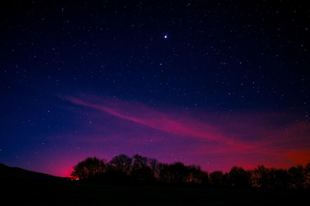 动态图片 5