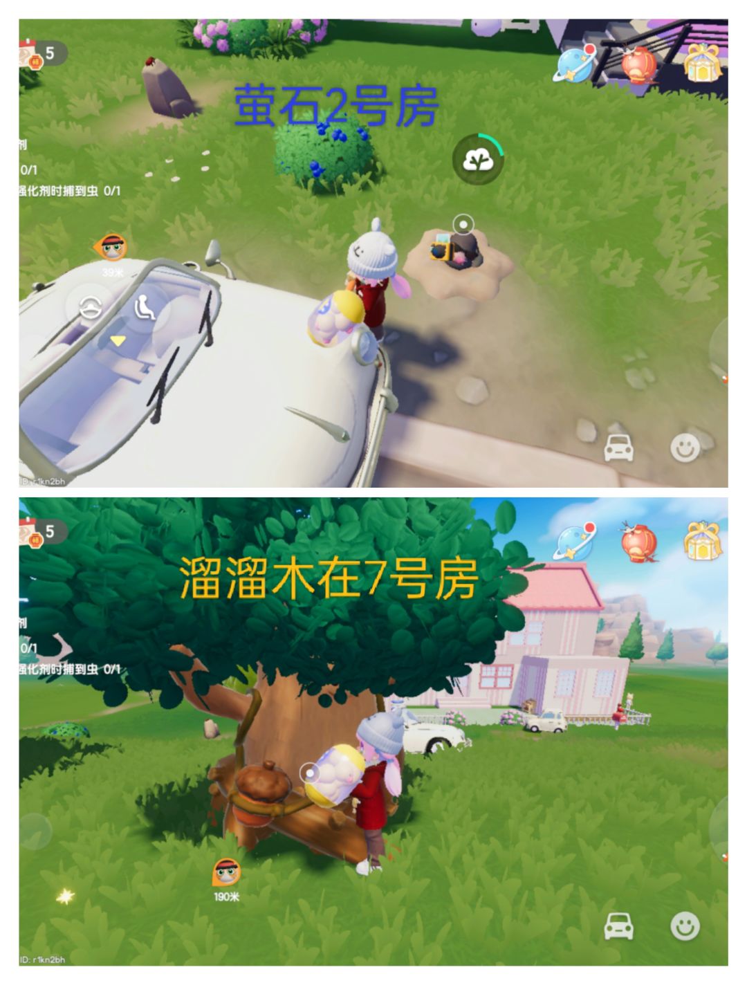 今天萤石溜溜木位置以及兑换码截图