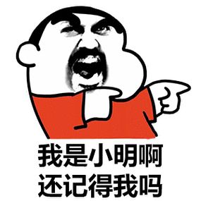 元宵有公告了吗截图