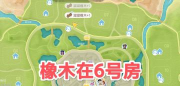 5.25心动小镇萤石溜溜橡木具体位置