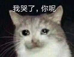 😢 1