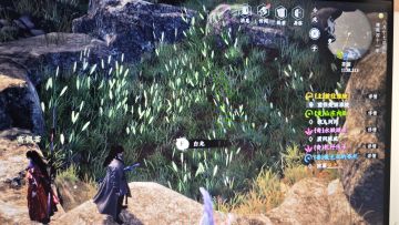 宠物龙的获取方法