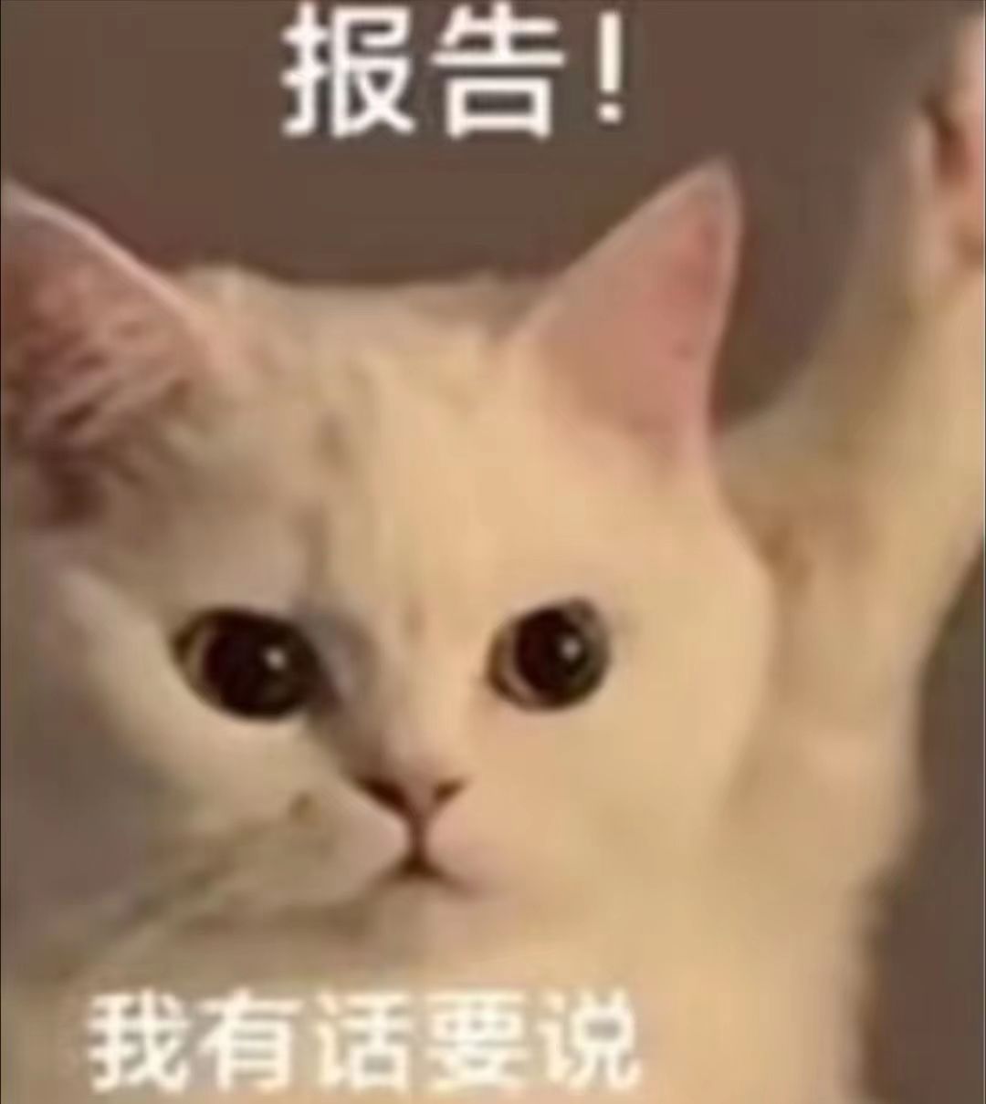 我才刚创号卡死这里 2