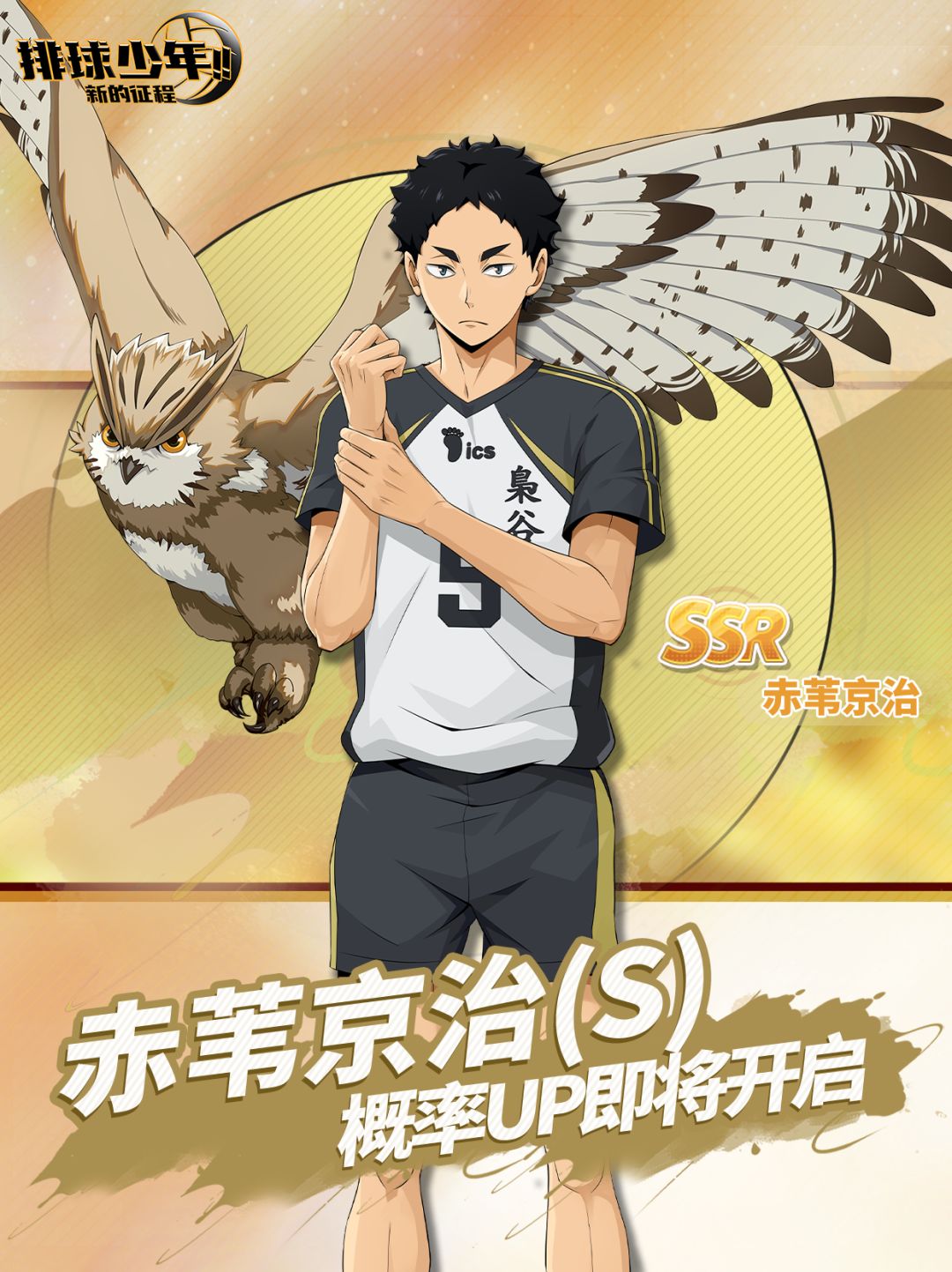 球员招募预告丨赤苇京治2月6日登场! 1