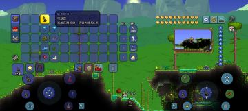 1.4.4.9最新种子分享（内含溜冰鞋，韧皮雕