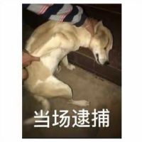 闪屏能不能修复下 1