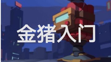 金猪的新人入门攻略