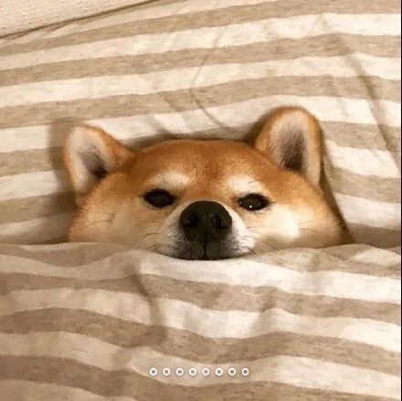 又是毫无提升的一周截图