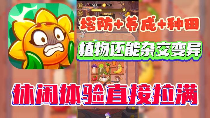 塔防+养成+种田❓《保卫向日葵》休闲体验拉满了啊❗截图