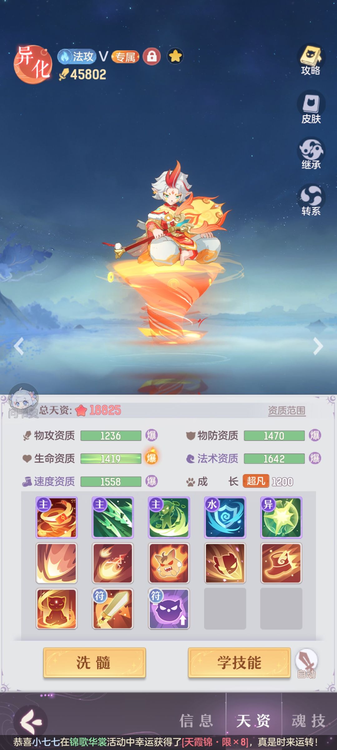 大佬们帮我看下这几个宠物打书对吗 2