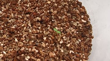 个人有效帖集⊙《灰烬战线》