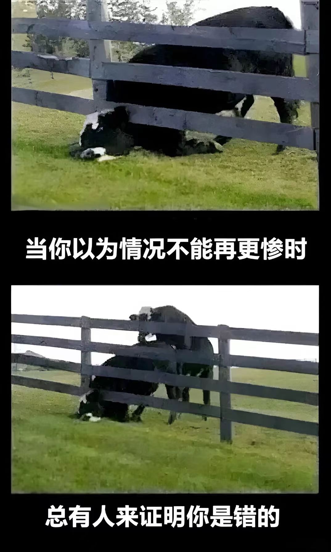 怎么把游戏赠送给好友 1