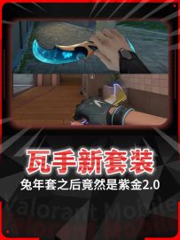 兔年套之后竟然还有紫金2.0！！！