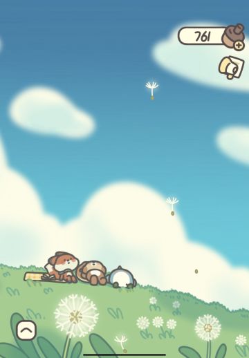 今天上午小松宝宝出去放风啦，可爱宝宝！