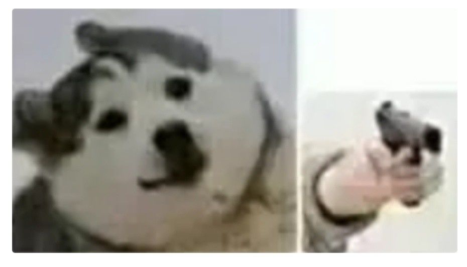 不是,哥们?! 1