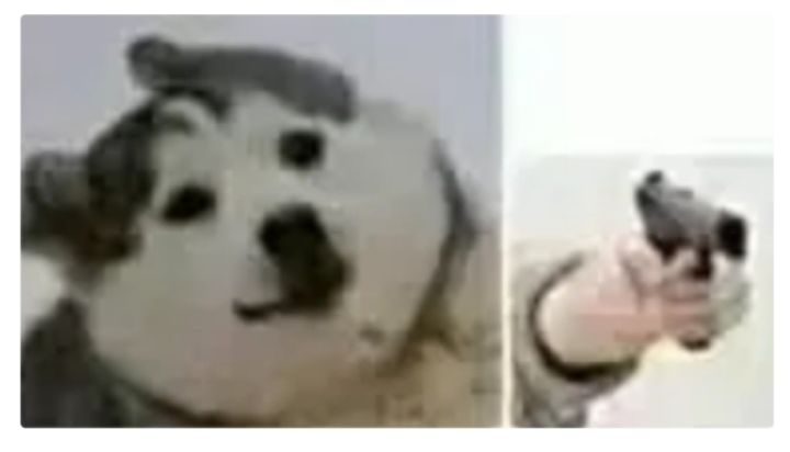 不是,哥们?!截图