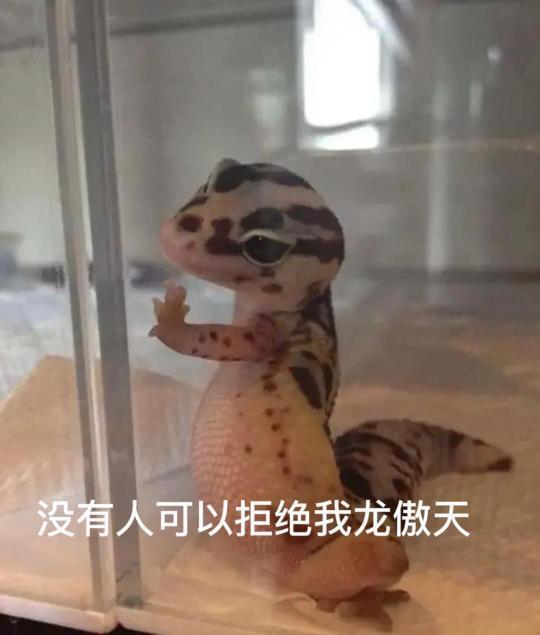 一个人能咸鱼玩吗?截图