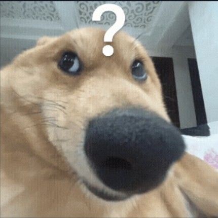 为什么不能换绑手机号截图