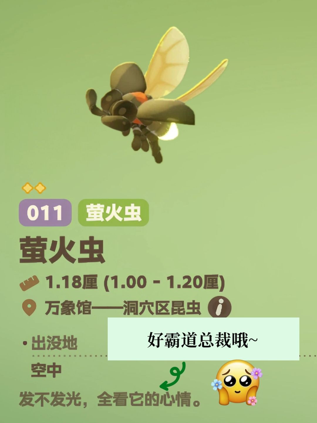 知识以奇怪的方式进入脑子 7