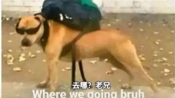 愿望之夜۝机械师无限，刷成就