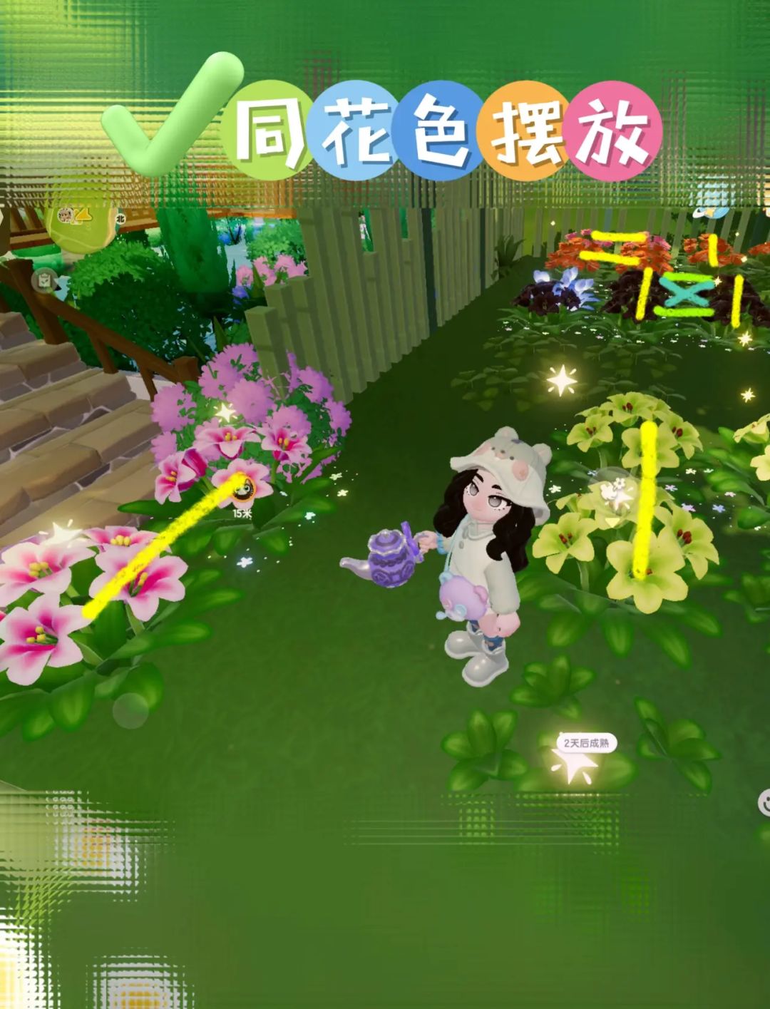 园艺全攻略 | 迎春花风信子蝴蝶兰通用 3
