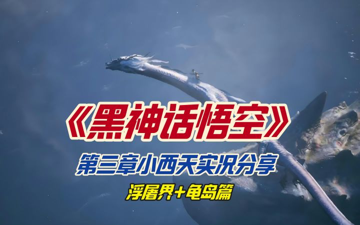 《黑神话悟空》第三章小西天实况分享浮屠界+龟岛篇截图