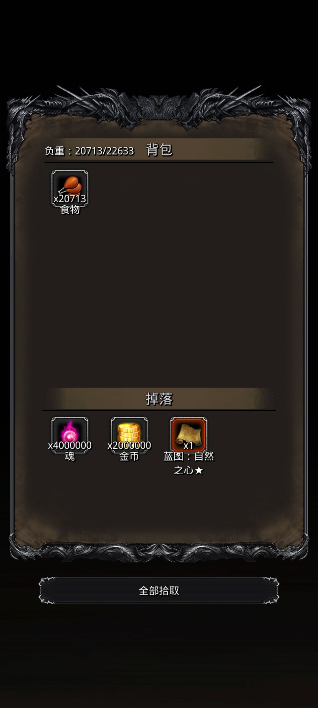 图41母体 2
