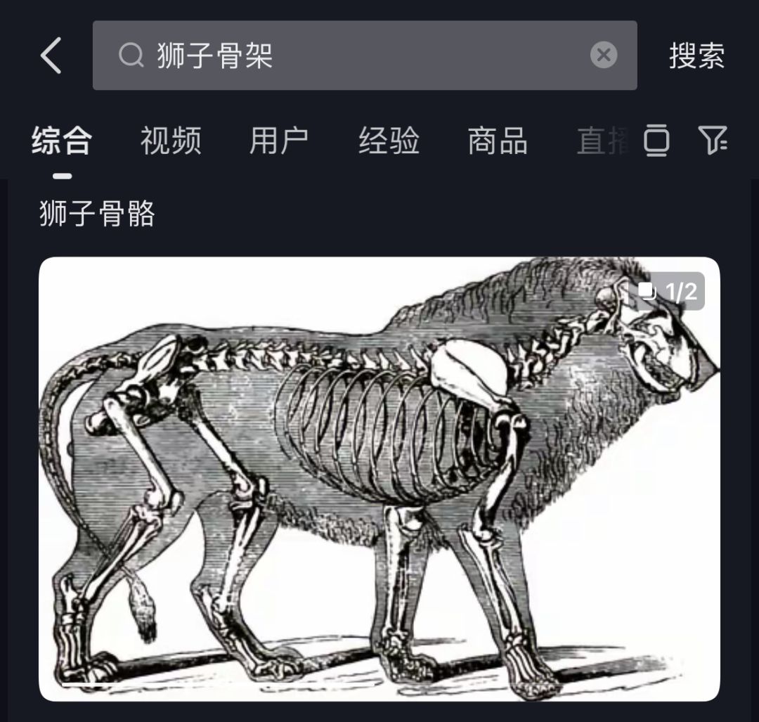 柯瓦雷立绘细节暗示 3