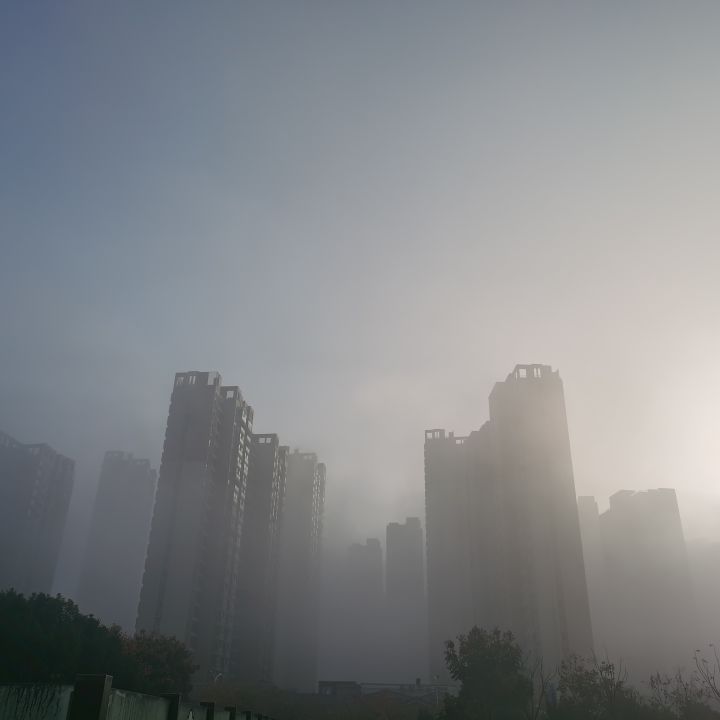 雾近了，它们还会远嘛截图