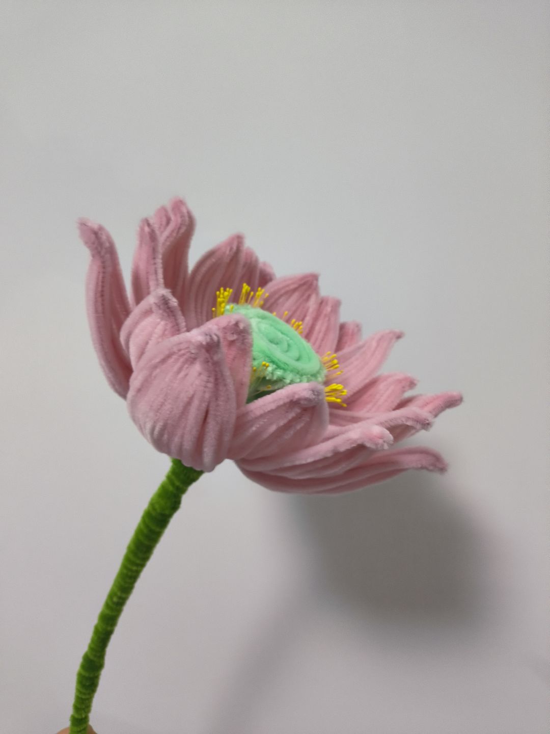 驾照考试 1