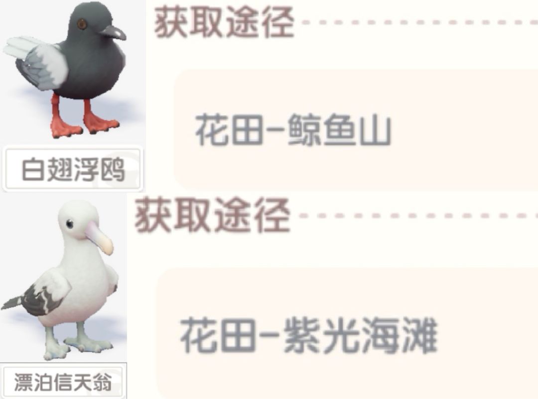 【心动小镇寻鲸季限定鸟类图鉴】 3