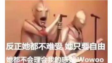 屎上最详细攻略，不服来群里：339500219 找望天教主！