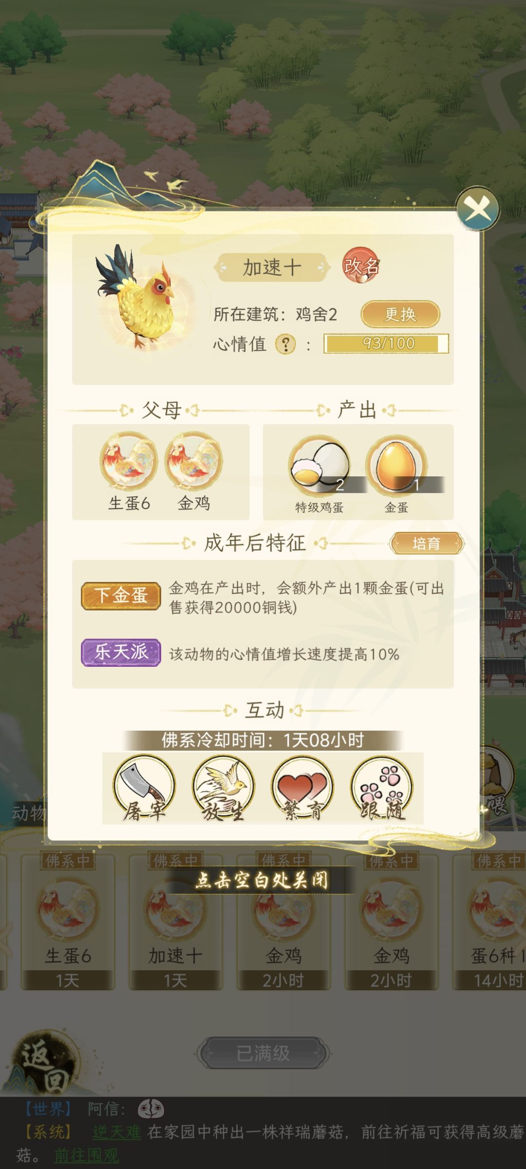 养那种鸡划算 2