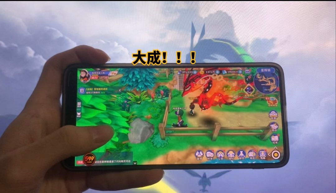 你们的绿毛虫训练成烈空坐了吗? 2