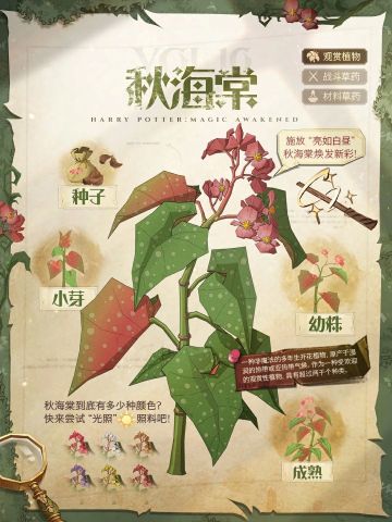 魔法植物图鉴丨来看看巫师们培育出了什么新植物吧~