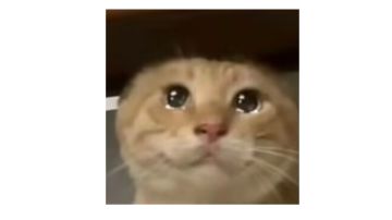 [新手向]新手卡关自查（51～100层）