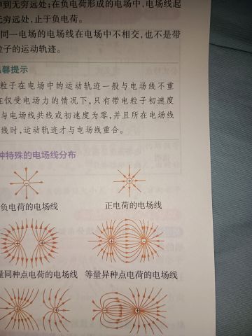 物理晚自习上关于塞宁神子光环的想法