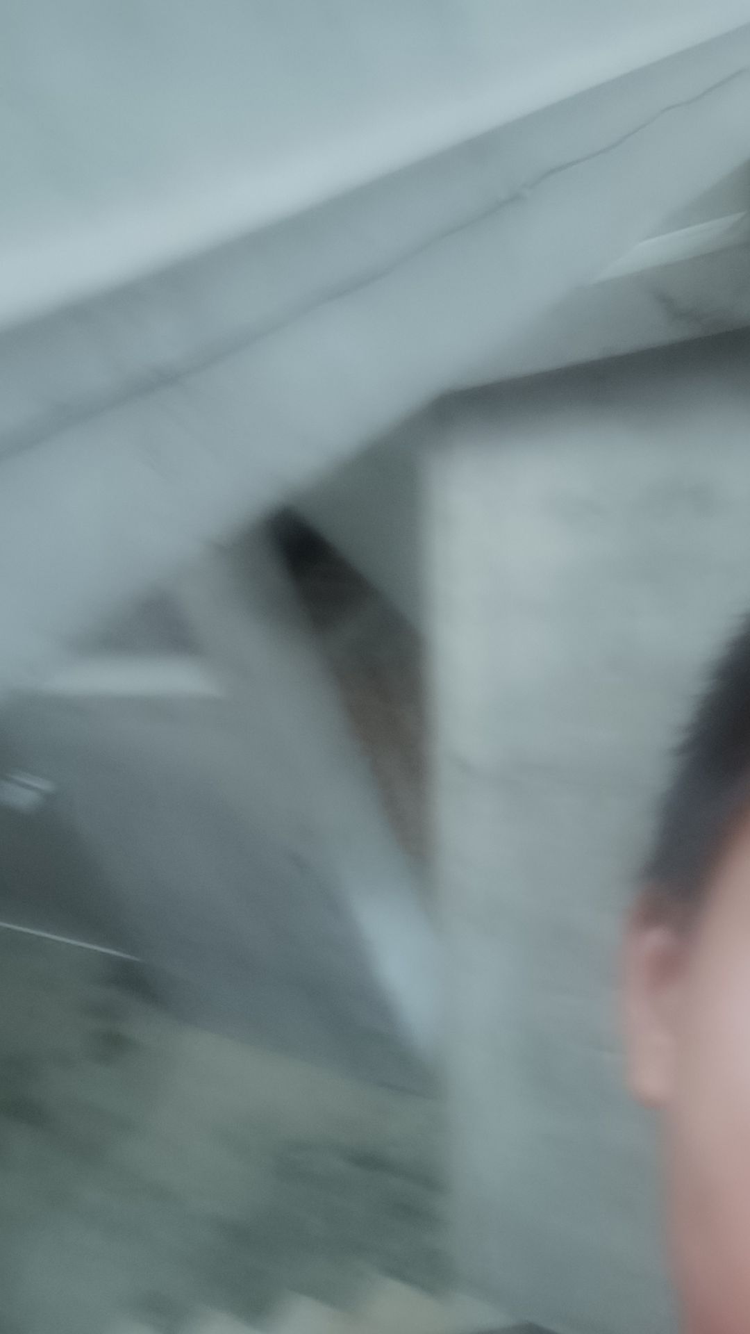 动态图片 11
