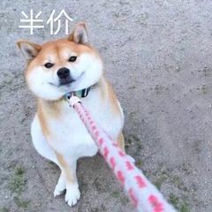 失落四境攻略:针对各游戏内系统的看法 1