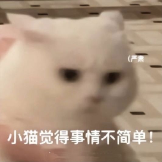创世战车PC,今日TapTap 上线! 3