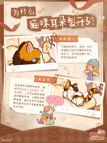 🐈铲屎官手册｜为什么猫咪耳朵裂开了？
