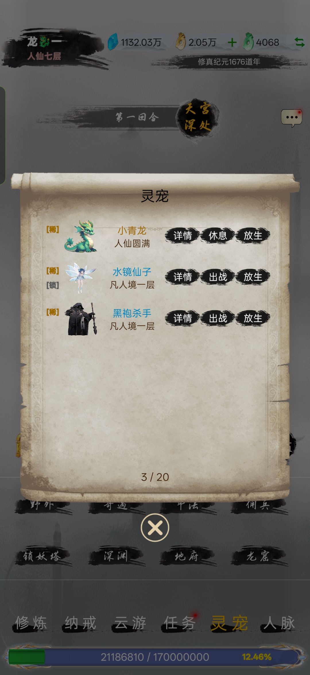 我的灵宠 1